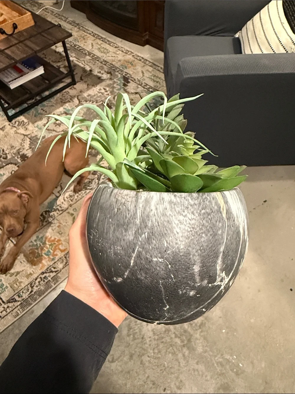 Artificial Succulent Arrangement in Grey Marble Pot
